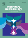 VETERINARY MICROBIOLOGY雜志封面
